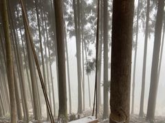 -太阳湾风景区