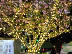 -天鹅湖体育公园