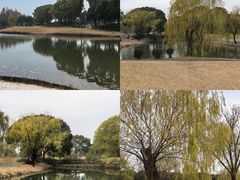 -旭宝高尔夫俱乐部