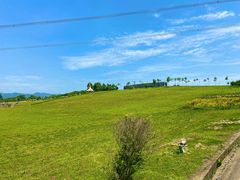 -紫颐香薰山谷景区
