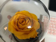 -ROSEONLY诺誓(青岛万象城店)