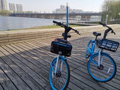 -长白岛森林公园