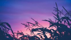 -HEYAN荷妍专业脱毛连锁机构