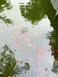 -莲生母婴月子中心(清水河公园店)