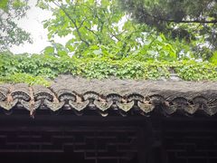 -枫泾古镇-人民公社旧址