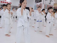 -极真空手道修远道场