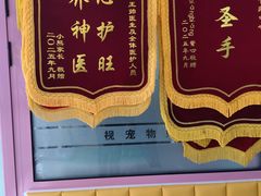 -全心全意连锁动物医院·微创中心·内科急重症·心脏专科(丰管路店)