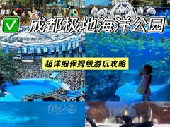 -海合安成都极地海洋公园