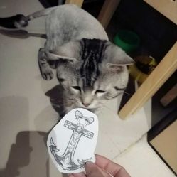 -幸运7纹身刺青Lucky7tattoo