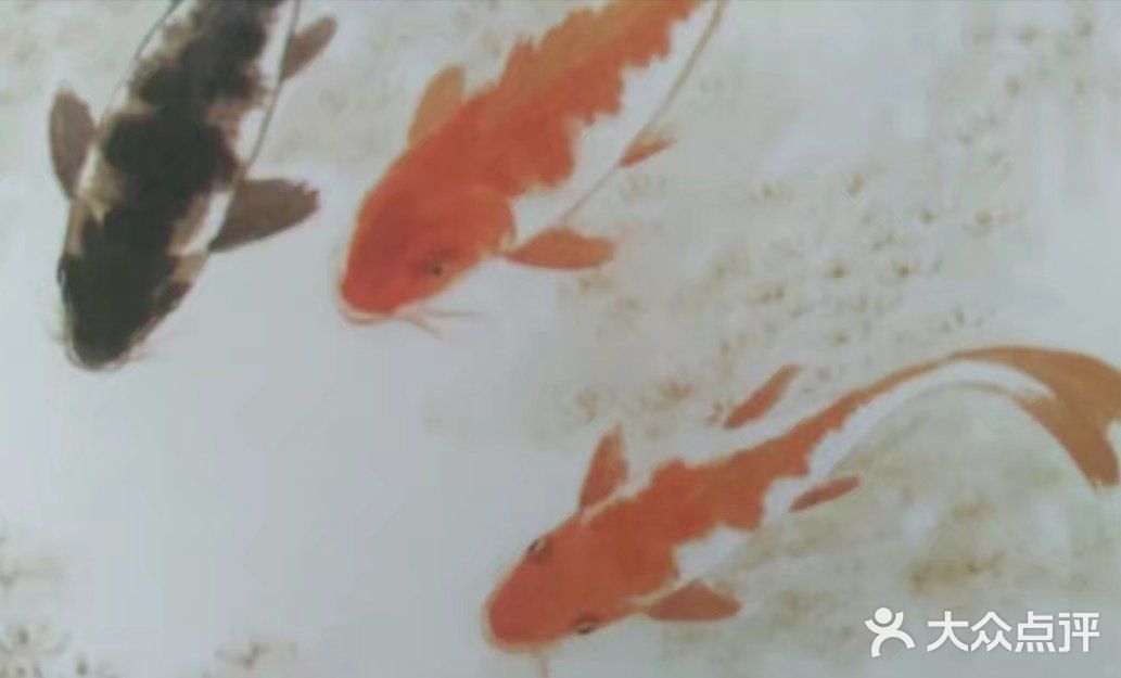哦…自由自在，像鱼一样游来游去，有猫保镖，幸福满满