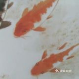 哦…自由自在，像鱼一样游来游去，有猫保镖，幸福满满