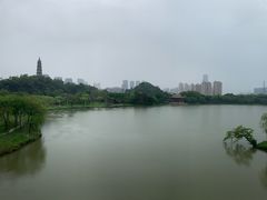 -顺峰山公园