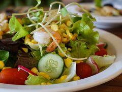 芒果色拉-The Salad Concept