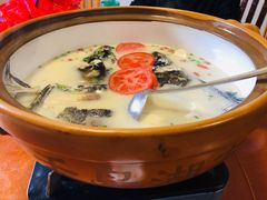 -全乐鱼馆·淳牌有机鱼直营店