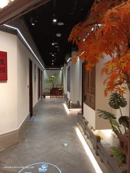 -童泰母婴生活馆(新东方商业广场店)