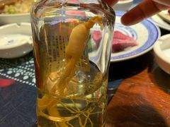 小参酒三两半-蠔友汇·海鲜·生蚝烧烤(大东店)