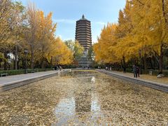-玲珑塔公园