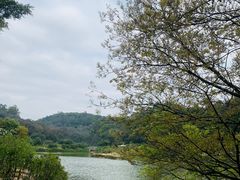 -南国桃园旅游度假区