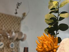 -竹子咖啡bamboo coffee