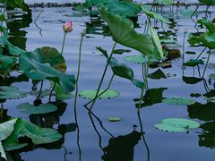 -北山街历史文化街区