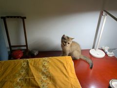 -美联众合24小时·皮肤科·外科·全科诊疗中心(华苑分院)