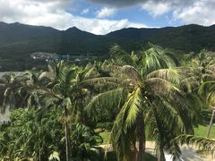 -三亚亚龙湾金棕榈度假酒店