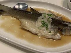 午仔鱼-鼎泰丰(渔阳店)