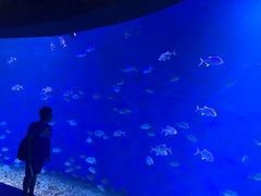 -波塞冬旅游度假区