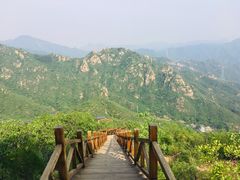 -大岭沟猕猴桃谷风景区