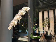 -湖滨客舍·湖北菜