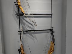 -蓝天射箭馆·专业射箭运动(诚丰广场店)