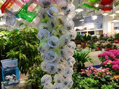-双季花艺园艺市场(浦东店)