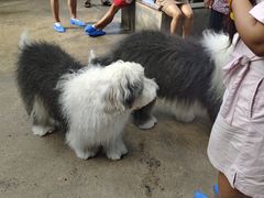 -TrueLove @ Neverland (Husky Cafe)