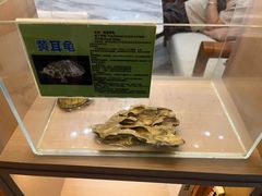-御海8号温泉酒店