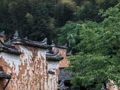 -杨家堂村