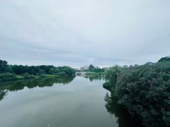 -眉山湿地公园(东坡区)