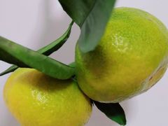 -宾湖农庄·农场特色(太湖龙之梦店)