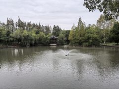 -瀛洲公园