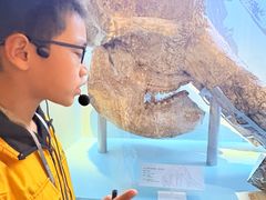 -国家自然博物馆