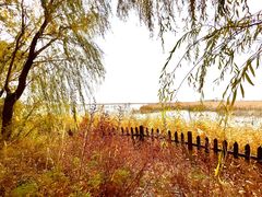 -野鸭湖国家湿地公园