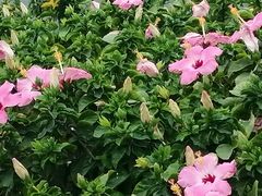 -新梦百货(民族店)