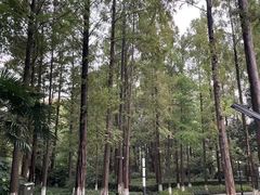 -苏州河梦清园环保主题公园