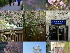 -木塔寺遗址生态公园
