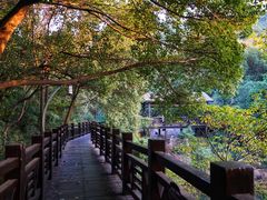 -白马涧龙池景区