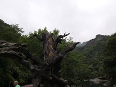 -龙湾潭国家森林公园