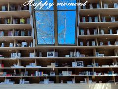 -森波拉火山温泉