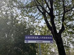-武汉园博园(武汉自然博物馆)