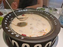 -洪氏嗨捞·广东猪肚鸡·椰子鸡火锅(西咸万象城店)