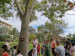 -三亚亚龙湾天域度假酒店