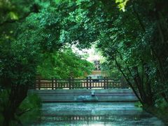 -上海滨江森林公园